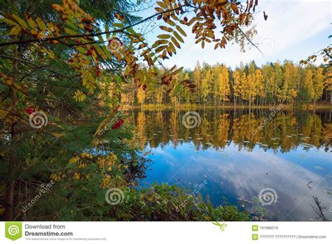Trees Reflected In The Lake Autumn Landscape Stock Image Image Of