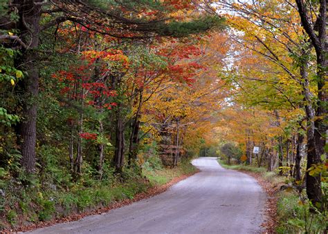7 Vermont Dirt Roads Worth Exploring
