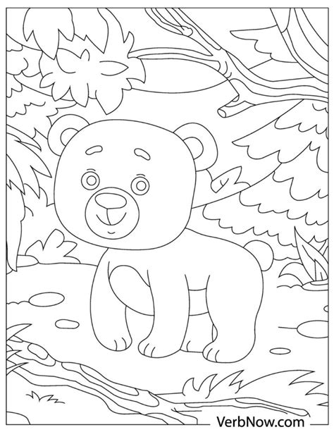 Free BEAR Coloring Pages for Download (Printable PDF)