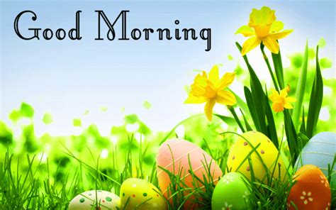 Good Morning Wishes Wallpaper Photo Pics Hd Download With Images