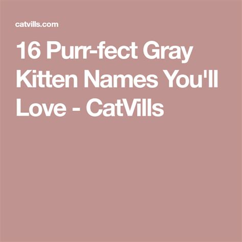 16 Purr Fect Gray Kitten Names Youll Love Grey Kitten Names Grey