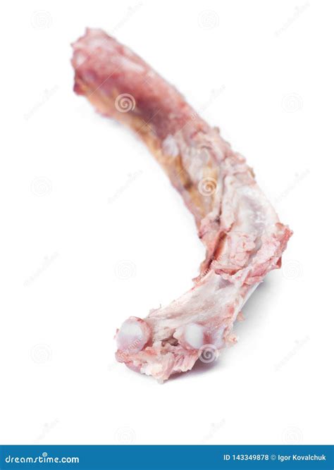 Single Bone With Flesh Stock Photo Image Of Closeup 143349878