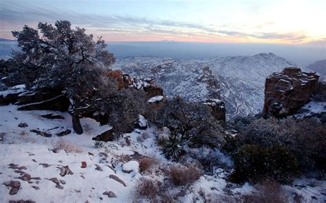 Photos Snowfall In Tucson Arizona California Latest News