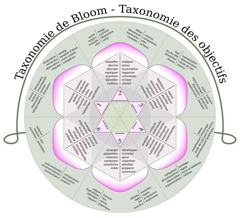 La Taxonomie De Bloom Nell And AssociÉs