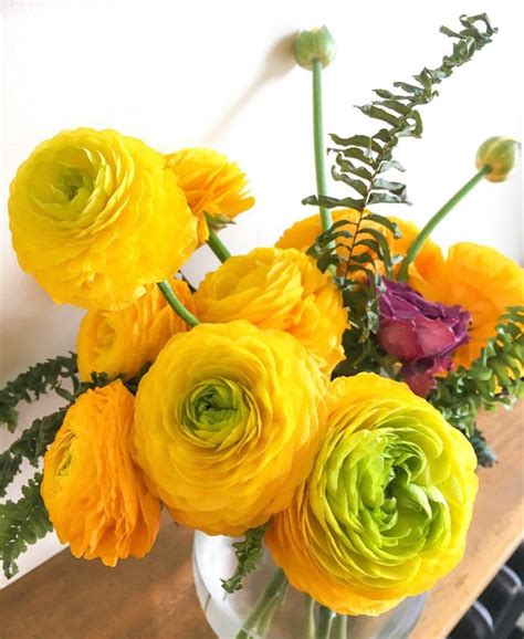We did not find results for: Yellow Ranunculus | Flowers, Wholesale flowers, Wholesale ...