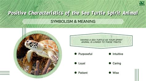 Sea Turtle Spirit Animal Symbolism And Meaning A Z Animals