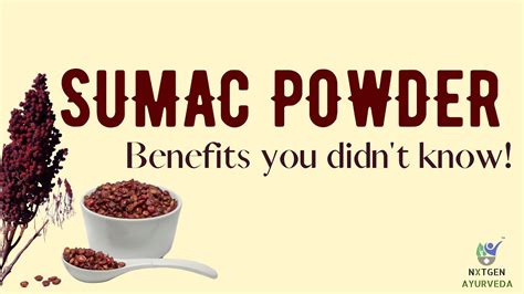 Top Benefits Of Sumac Sumak Spice Sumac Powder Youtube