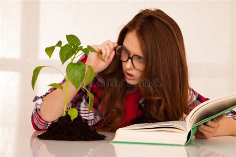 Attractive Young Botany Student With Seedlnng And Books Stock Image