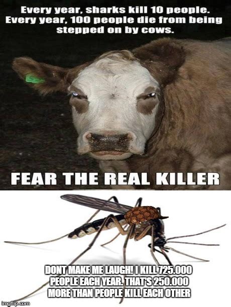 Scumbag Mosquito Imgflip