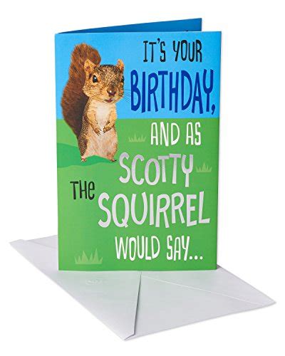 American Greetings Funny Birthday Card Squirrel Pricepulse