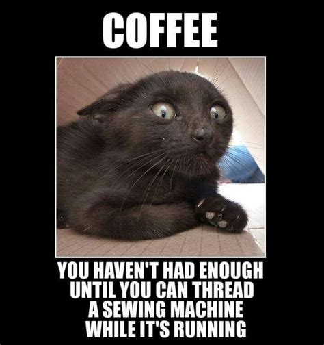168 Best Images About Coffee Humor On Pinterest Coffee