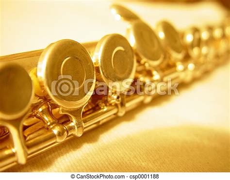 Pictures Of Golden Flute Golden Flute Pads Csp0001188 Search Stock