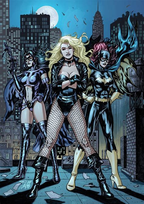 Gotham Girls Photo Black Canary Batgirl And Huntress Arte Dc Comics