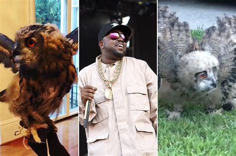 Big Boi Shows Off His Two Pet Owls Xxl