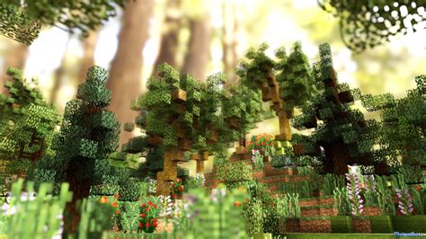 Full Forest Live Stream Build Minecraft Map