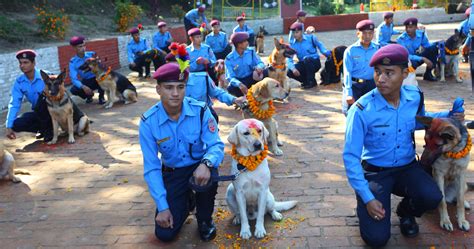 In Pictures Nepal Thanks Its Pet Dogs As Part Of Five Day Tihar Festival