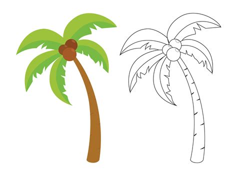 Coconut Tree Outline