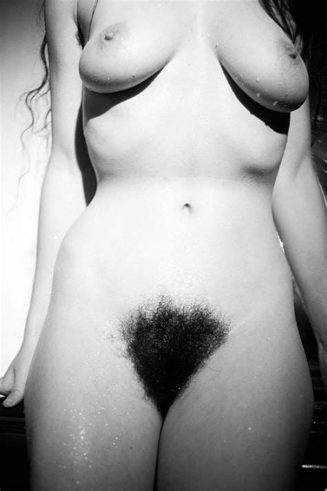 Photo Hairy Pussies Page 306 Lpsg