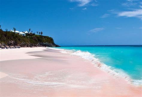 The Unique Pink Sands Beach In Harbour Island The Bahamas Triip The