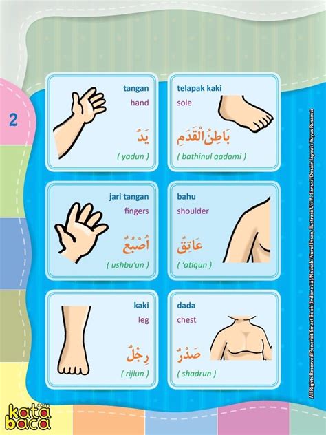 Demikian pemaparan tulisan angka dalam bahasa arab, mulai dari angka 1 sampai 100 berikut cara bacanya atau tulisan latinnya. Bahasa Arab Enam Adalah