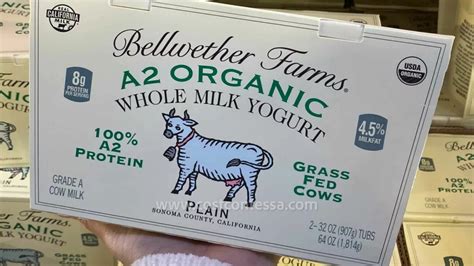 Bellwether Farms A2 Organic Whole Milk Yogurt At Costco Costcontessa
