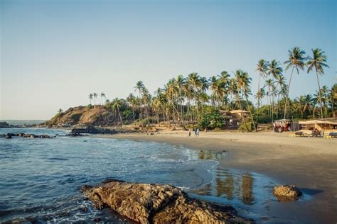 India Goa Beach Nature Sea Stock Photo Image Of Palm 52341550