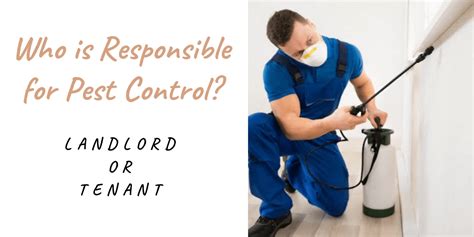 However, this doesn't mean that the tenant should ignore the issue. Landlord or Tenant: Who is Responsible for Pest Control?
