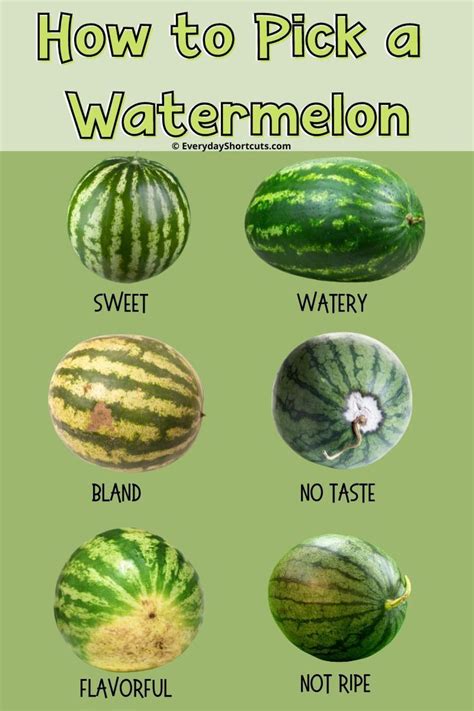 How To Pick The Perfect Watermelon Watermelon Recipes