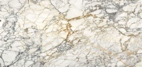 Calacatta Oro Marble Dedalo Stone