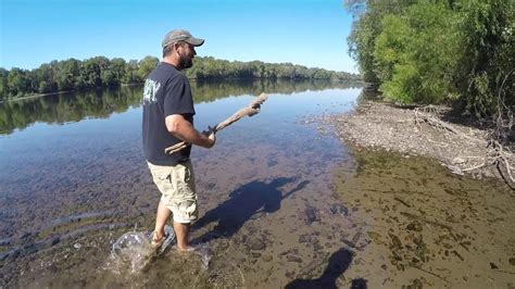 Blue Bus Dave Health