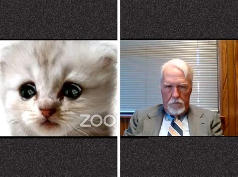 Texas Lawyer Caught In Zoom Filter Mishap