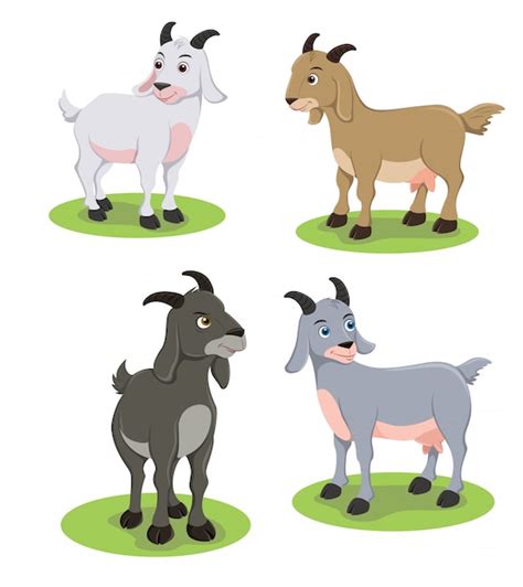 Premium Vector Goats Illustration
