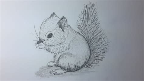 Dibujos Para Dibujar A Lapiz De Animales Faciles Pin En Ensenar A