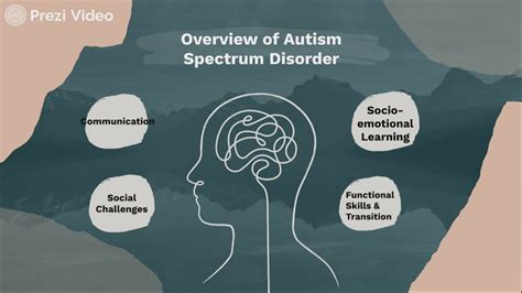 Overview Of Autism Spectrum Disorder By Morgan Howley On Prezi Video
