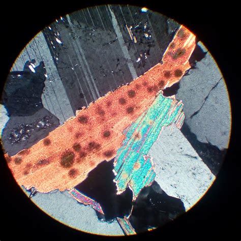 Biotite With Pleochroic Halos 30 µm Thin Section Xpl Flickr