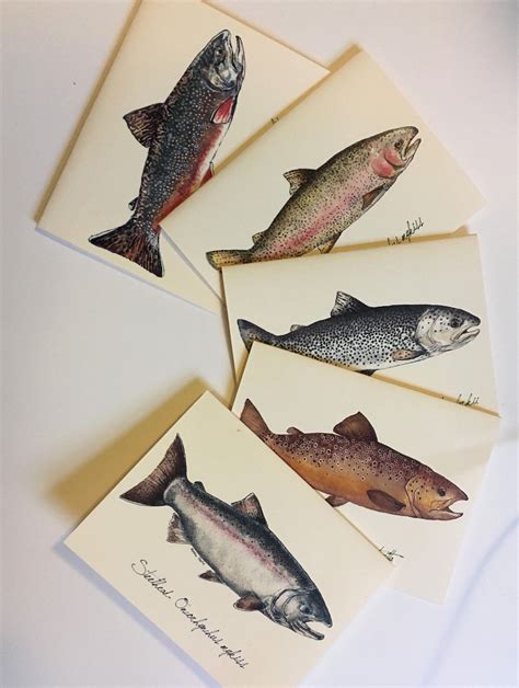 Trout Note Cards Set Of Five Blank Notecards With Trout Etsy