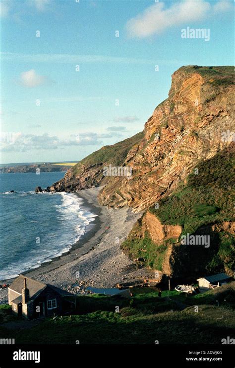 Famous Geology At Crackington Formation On Millook Haven North