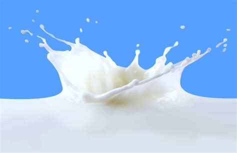 Naturechem Inc Milksplash