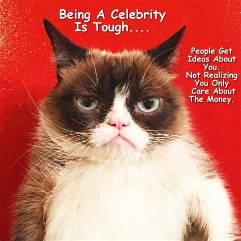 Grumpy Cat By Gary September 2017 Cute Cat Memes Grumpy