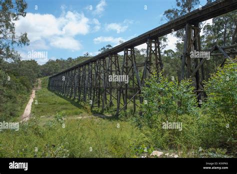 The Stony Creek Trestle Bridge At Nowa Nowa Was Built In 1916 It Is