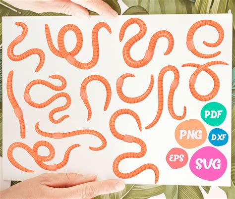 Earth Worms Svgworm Svg Maggot Svg Worm Clipartworm Png Etsy Finland
