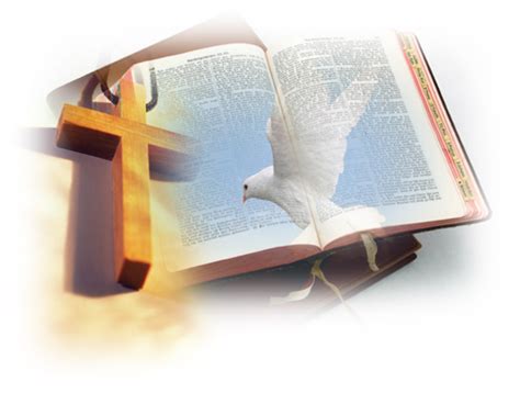 Bible Png Images Bible Book Holy Bible Free Clipart Download Free