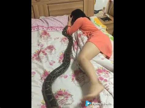 Snakes Sex Youtube