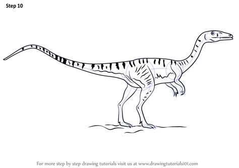 Step by step tutorial of dinosaur origami. Learn How to Draw a Coelophysis (Dinosaurs) Step by Step ...