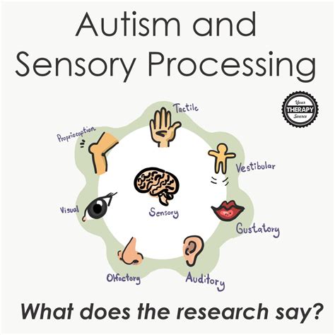 Autism And Sensory Processing Disorder Your Therapy Source