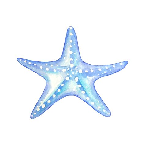 Premium Vector Watercolor Blue Starfish