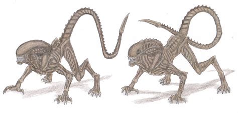 Avp Extinction Xenomorph Runners By Gavinoeldiabloguapo On Deviantart