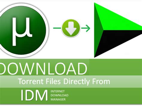 Internet download manager serial number free download windows 10. Idm 1 Month Free : Idm Free Download With Crack Internet ...