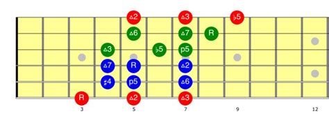 The Guitar Frets Are Arranged In Different Colors