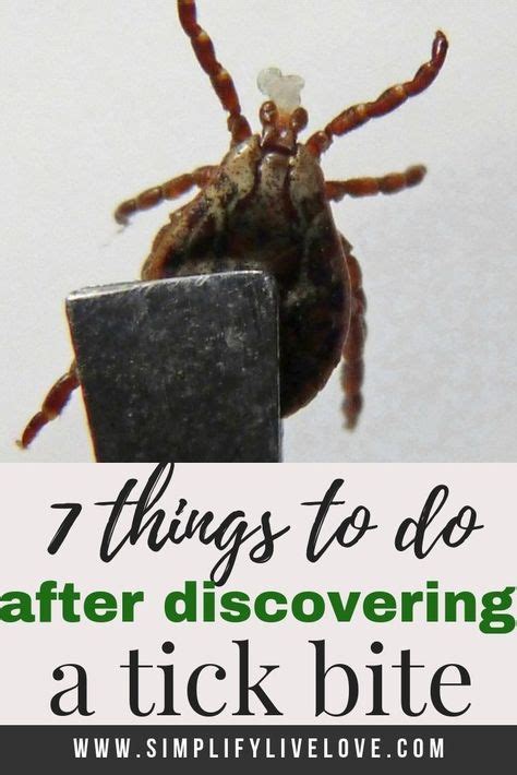 Do You Know What To Do If You Are Bitten By A Tick Here Are 7 Steps